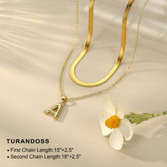 Dainty Gold Choker Necklace for Women